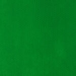 Verde Primavera